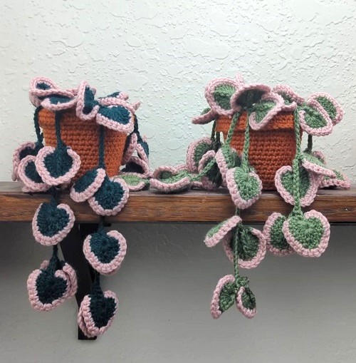 Crochet String of Hearts Plant 
