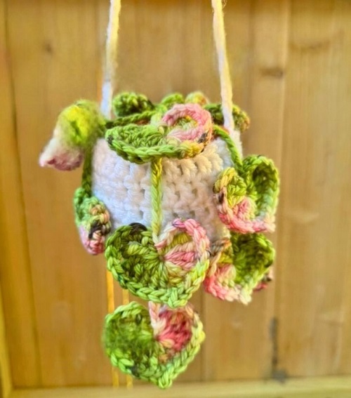 Crochet String of Hearts Plant 