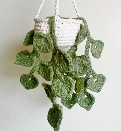 Mini Hanging Money Plant 