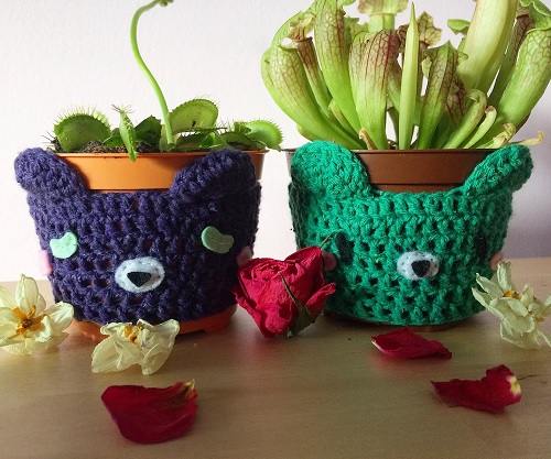Cute Bear Plant Pot Cosy