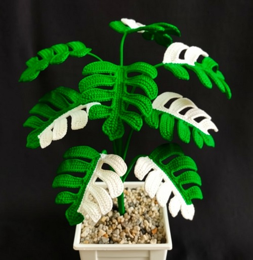 Crochet Small Monstera plant 