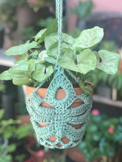 Monstera Leaf Plant Hanger