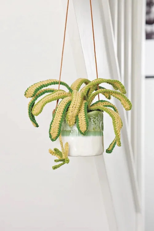Free crochet spider plant patterns 1