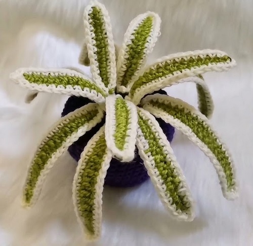 Free crochet spider plant patterns 3