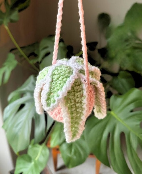 Free crochet spider plant 