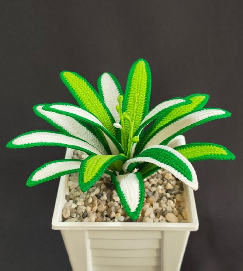 crochet spider plant