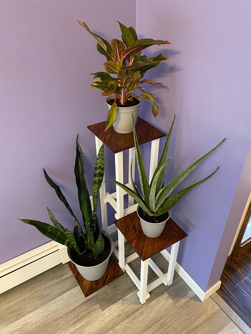 DIY plant corners 1