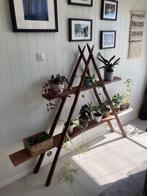 DIY plant stands