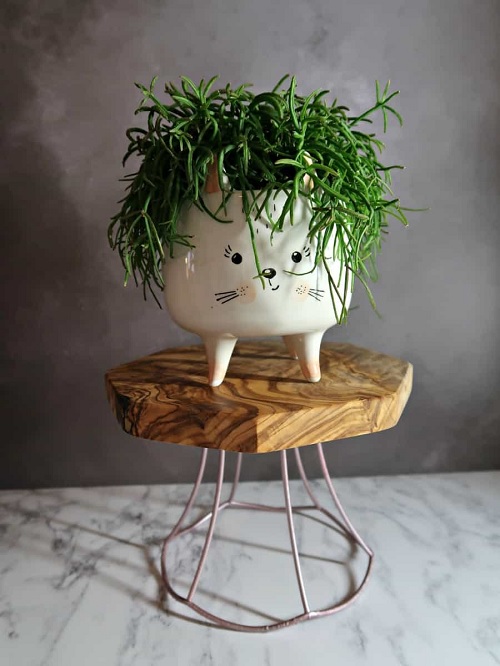 DIY plant stand using lampshade