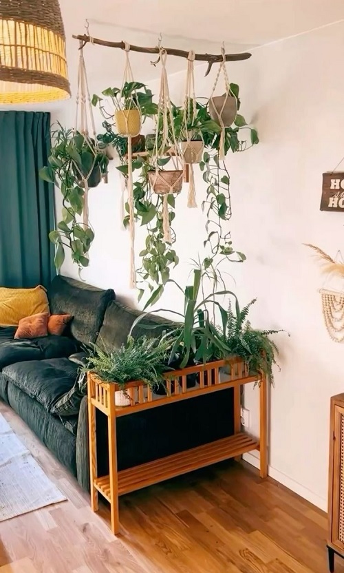 Living room plant styling ideas