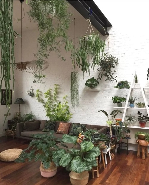 living decor with plants