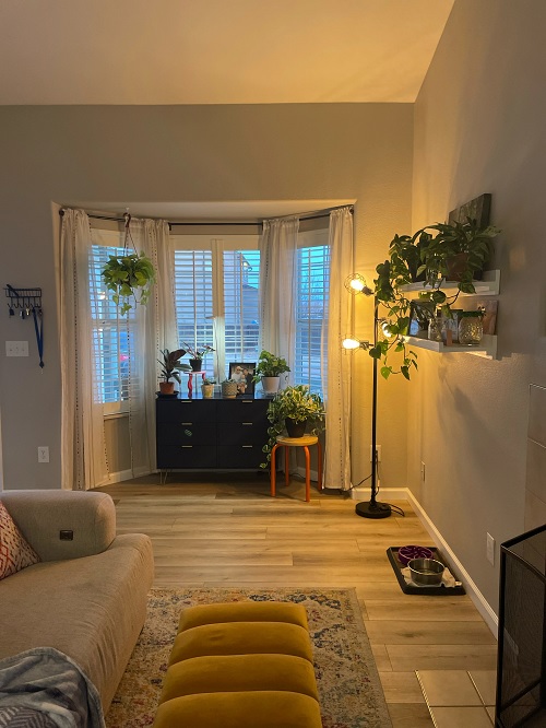 Living room plant styling ideas