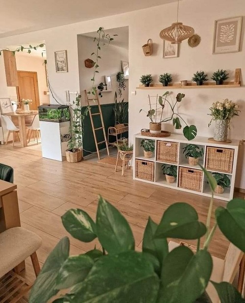 Living room plant styling ideas