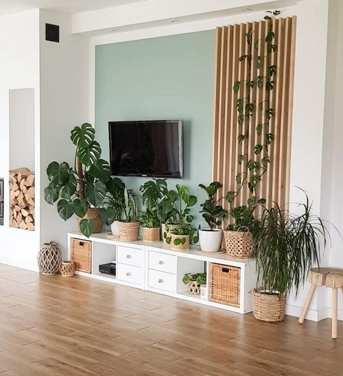 Living room plant styling ideas