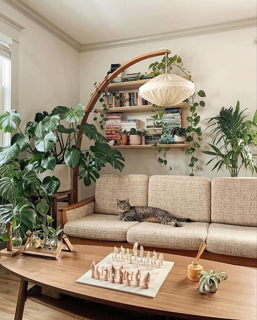 Living room plant styling ideas 4