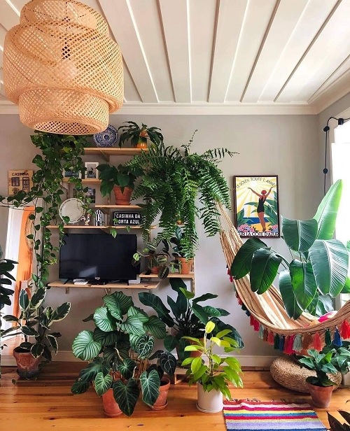 Living room plant styling ideas