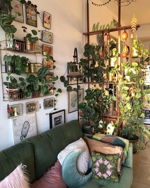 green living room idea