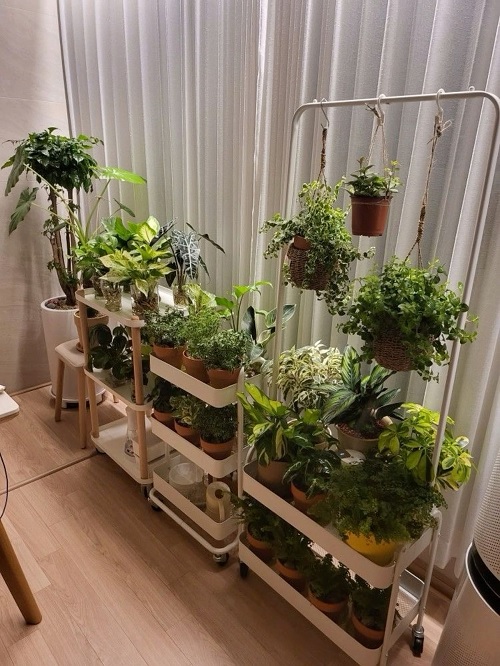 plant decor ideas for small spaces