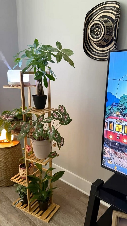 small space plant decor idea