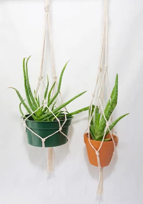macrame plant hanger