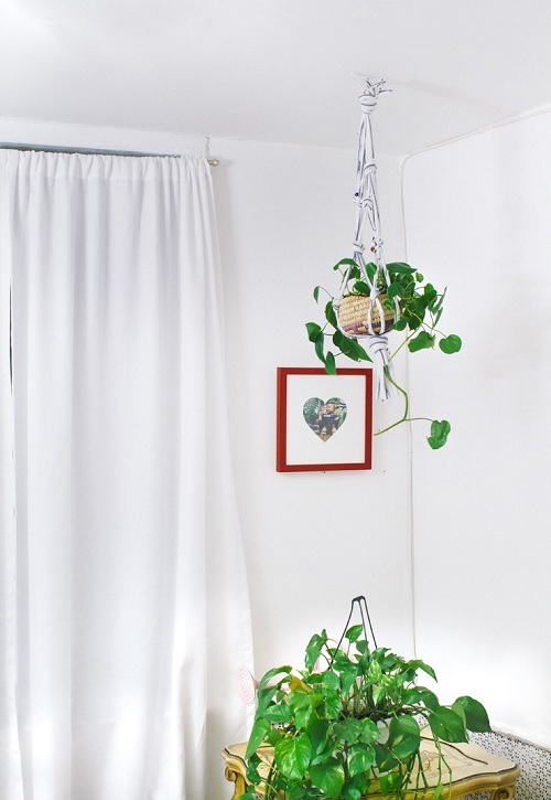 macrame plant hanger