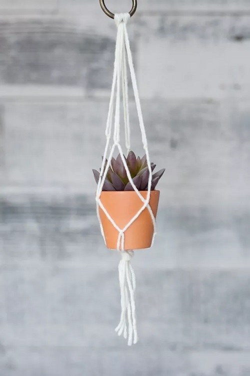 macrame plant hanger
