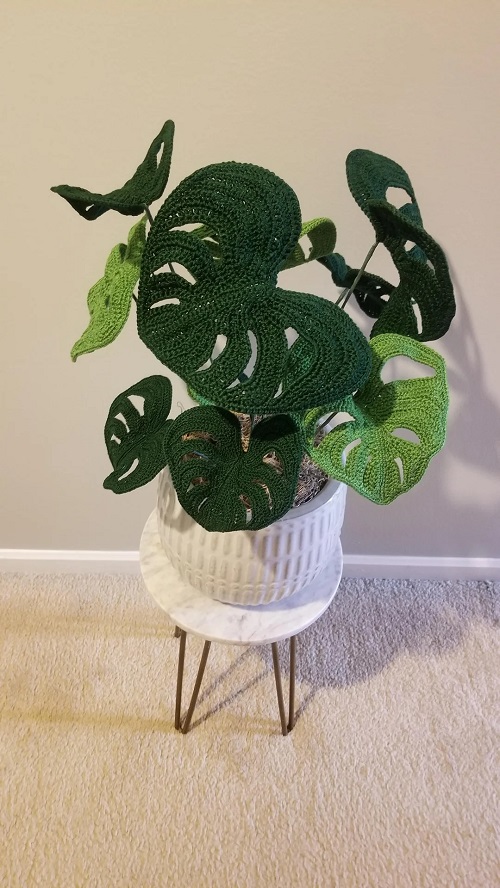 Crochet Monstera Together 2