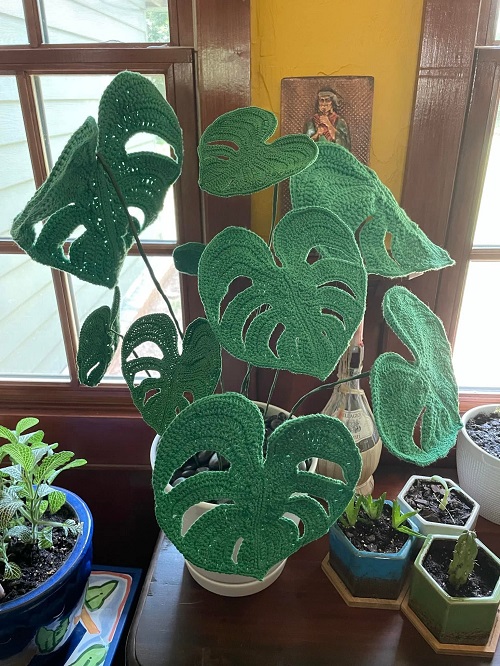 Crochet Monstera Pattern Tutorial 1