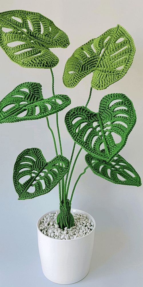 Crochet Monstera Together