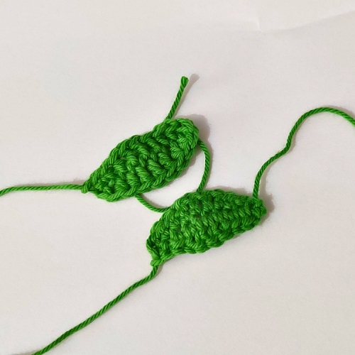 Crochet the Leaf