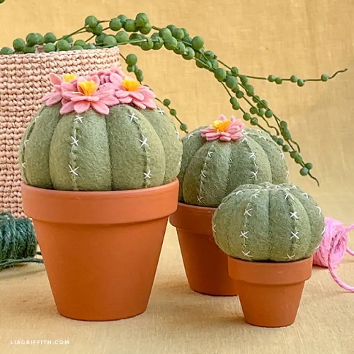 Felt Cactus Pattern 2
