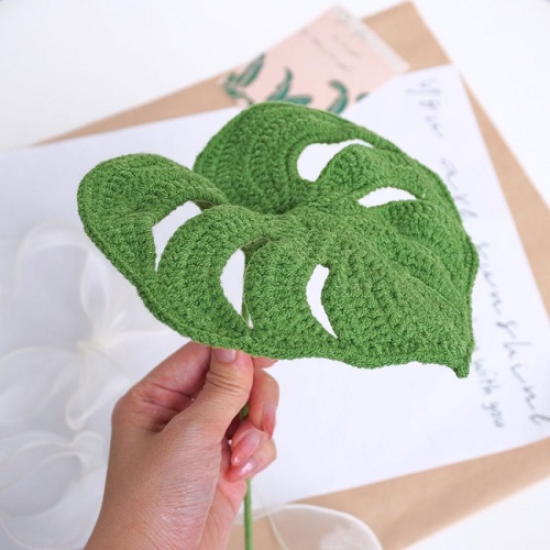 monstera Shape the Leaf