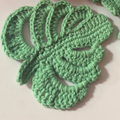 Create the Monstera Splits 2