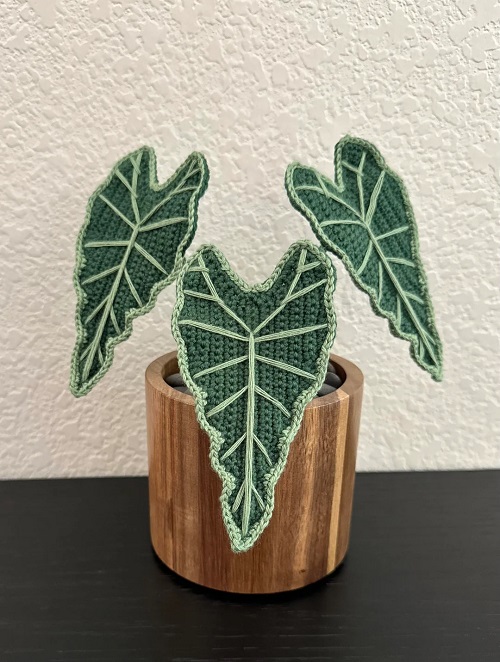 crochet plant
