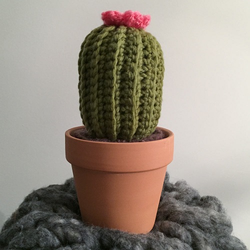crochet cactus
