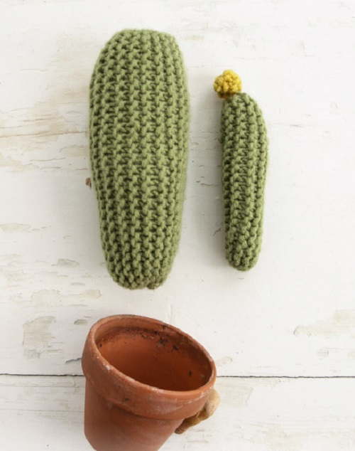 Put the Cactus in a Plant Pot