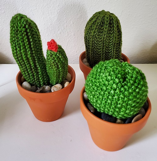 Personalize a Knitted Cactus