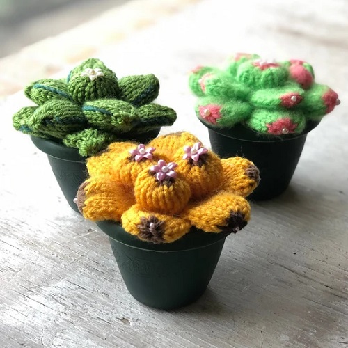 Knitted Succulent Pattern 3