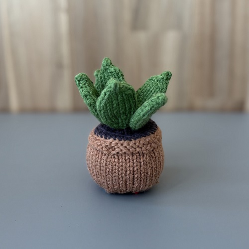 Attach the Plant to the Brown Base