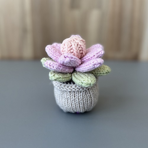 Knitted Succulent Pattern Tutorial 2