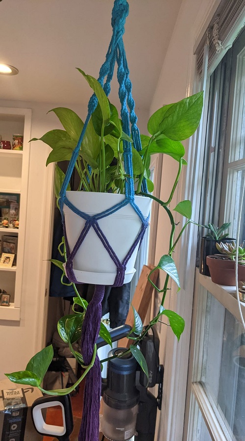 Macrame plant hanger