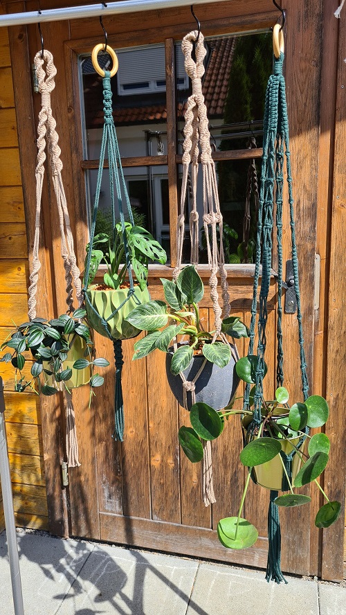 Basic Macrame Knots for Plant Hangers