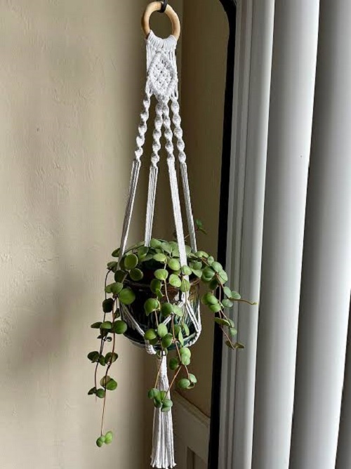 Small Macrame Plant Hanger Pattern Tutorial