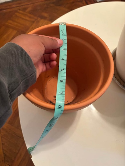 Measure the pot