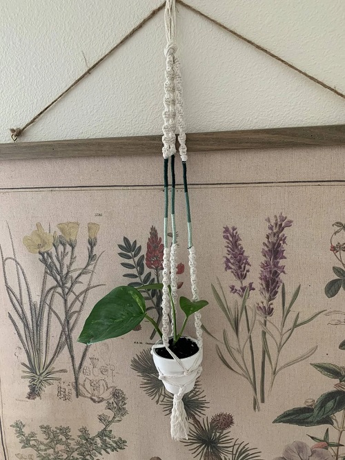 How to Make a Mini DIY Macrame Plant Hanger 1
