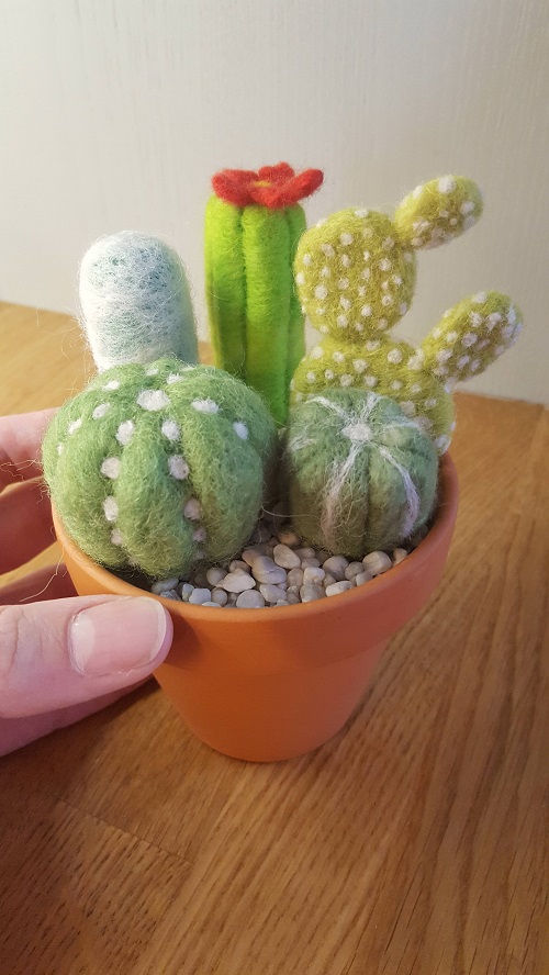 Place It in a Tiny Pot