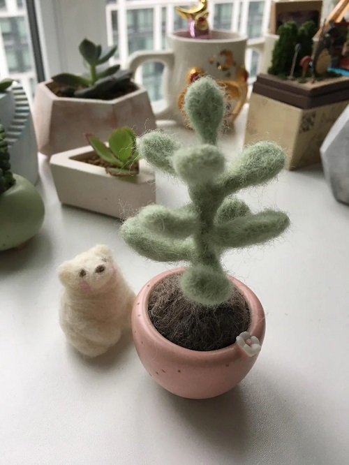 Needle-Felted succulent 1