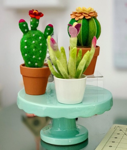 Needle-Felted succulent 2