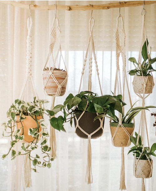 No-Ring Macrame Plant Hanger