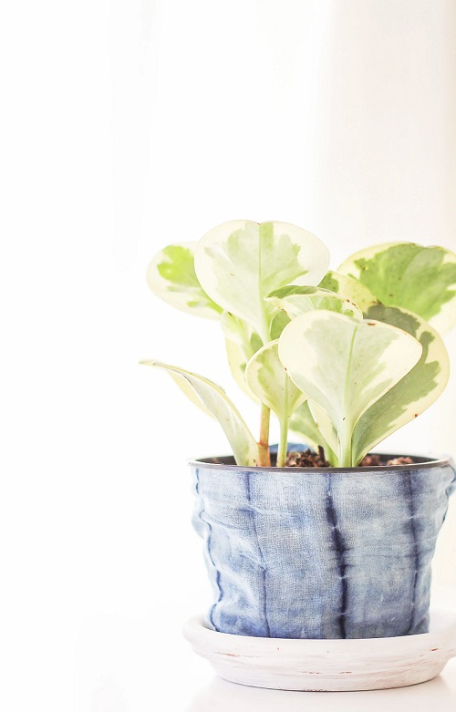 Plant Fabric Pot Cover